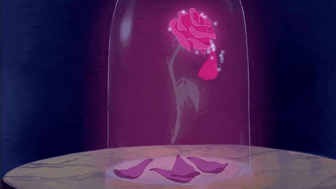 Зачарованная роза